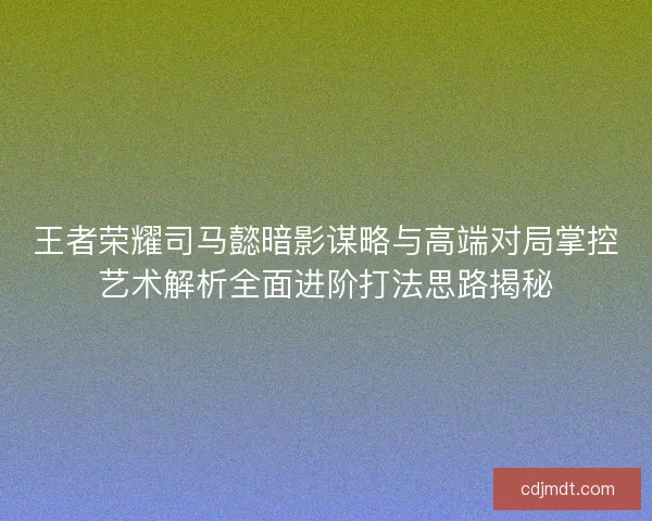 王者荣耀司马懿暗影谋略与高端对局掌控艺术解析全面进阶打法思路揭秘